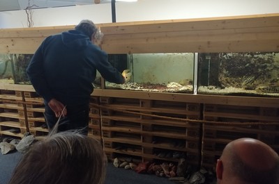 Veřejné akvárium Česká Lípa