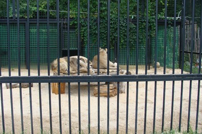 Zoopark Berousek