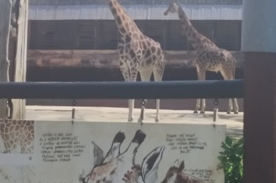 Krásná Zoo Liberec