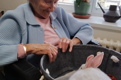 Canisterapie - králíček Snížek, Dasty a Hugo