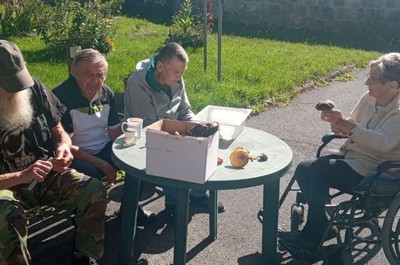 Houbařská sezóna zahájena i u nás